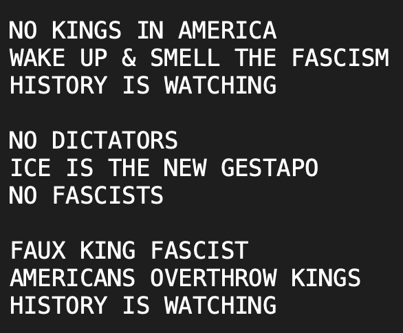 Screenshot of No Kings Haiku Python script output